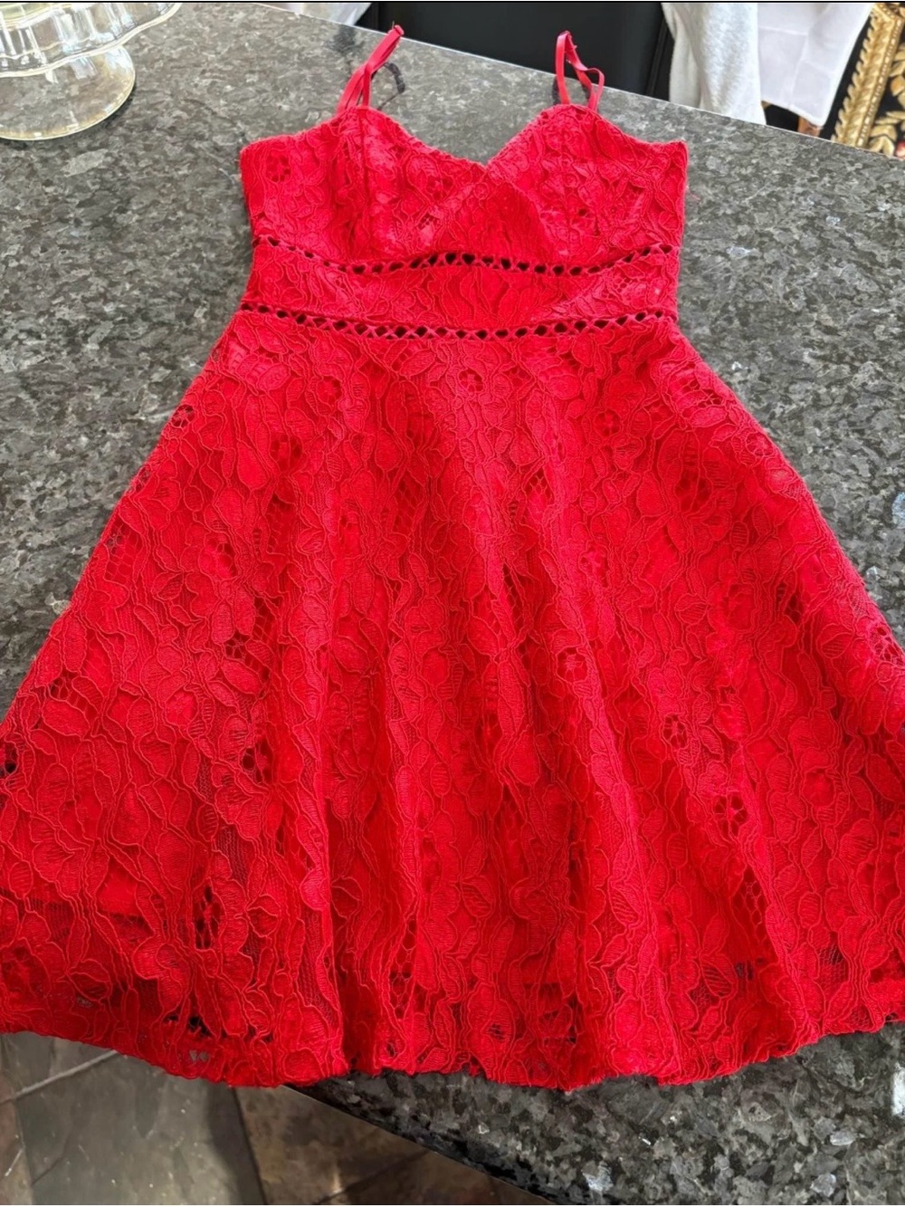 Francesca's Collections Red Lace Fit-and-Flare Spaghetti Strap Dress